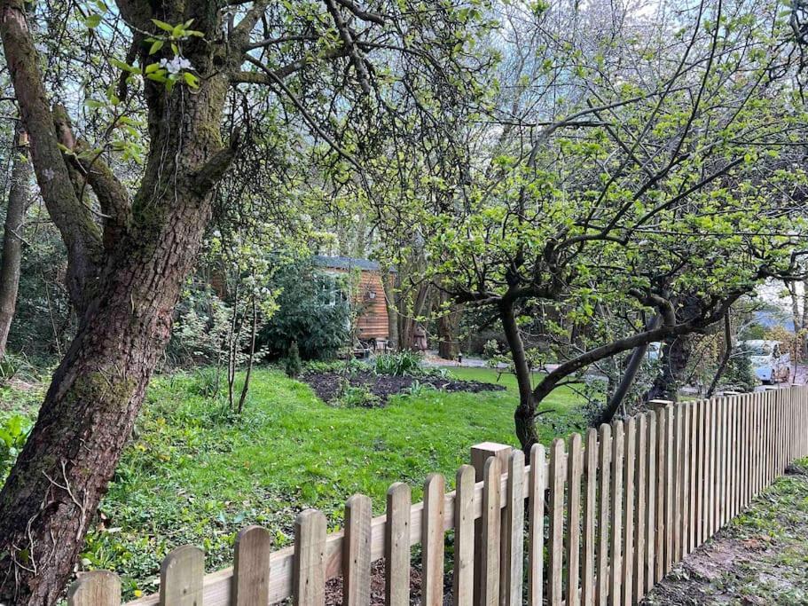 Tranquil Spot Shepherds Hut Cinderford エクステリア 写真