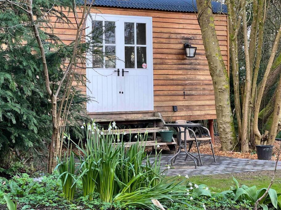 Tranquil Spot Shepherds Hut Cinderford エクステリア 写真